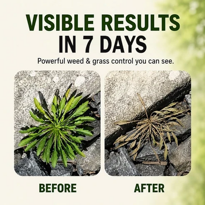 🔥🔥  Fast-Acting Natural Weed & Grass Killer Spray